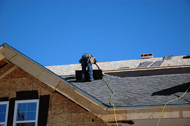 Best Shingle Roofing Installation  in Vidor, TX